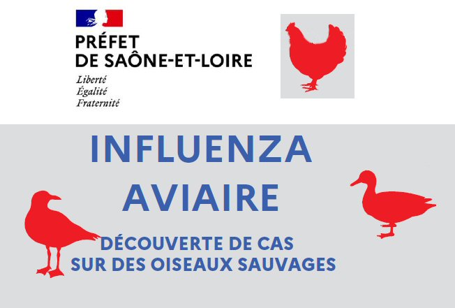 logo influenza